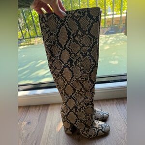 Zara Snake Print Reptile Decor in Black and Tan